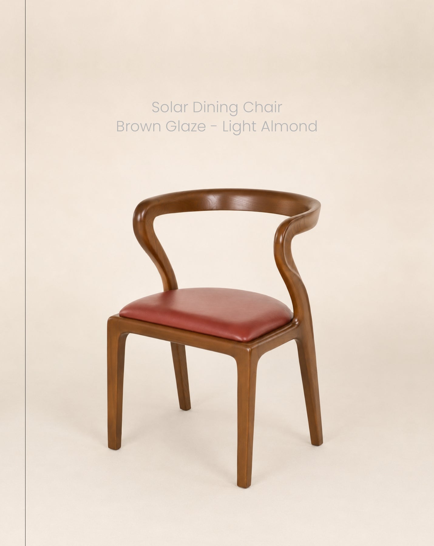 Solar Dining Chair leather