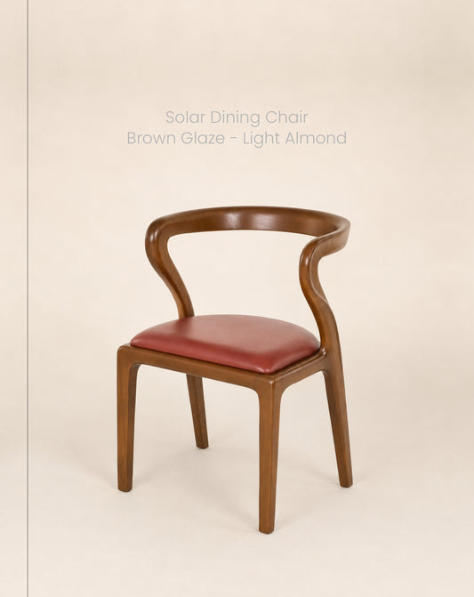 Solar Dining Chair leather