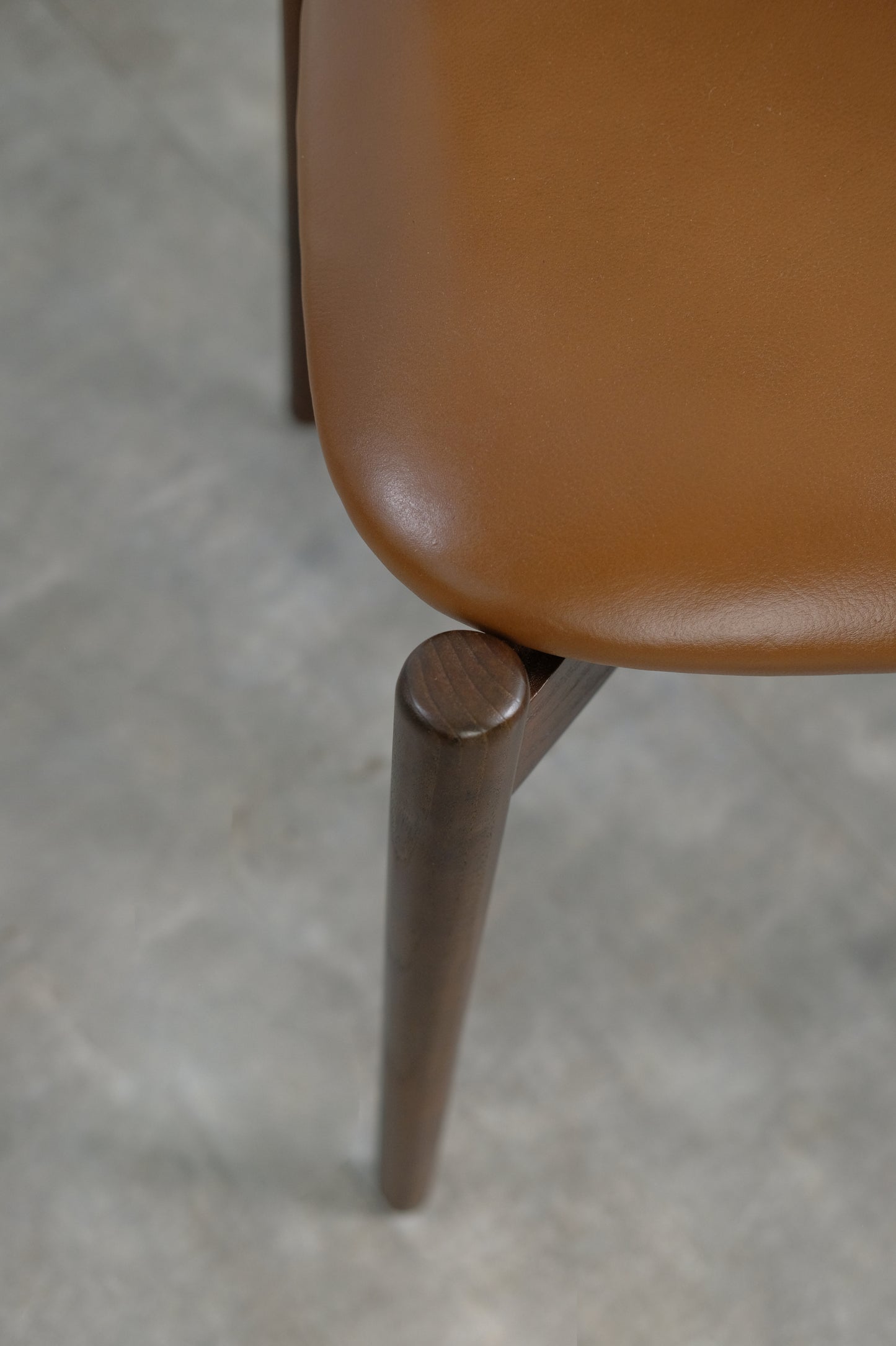 Torro Dining Chair