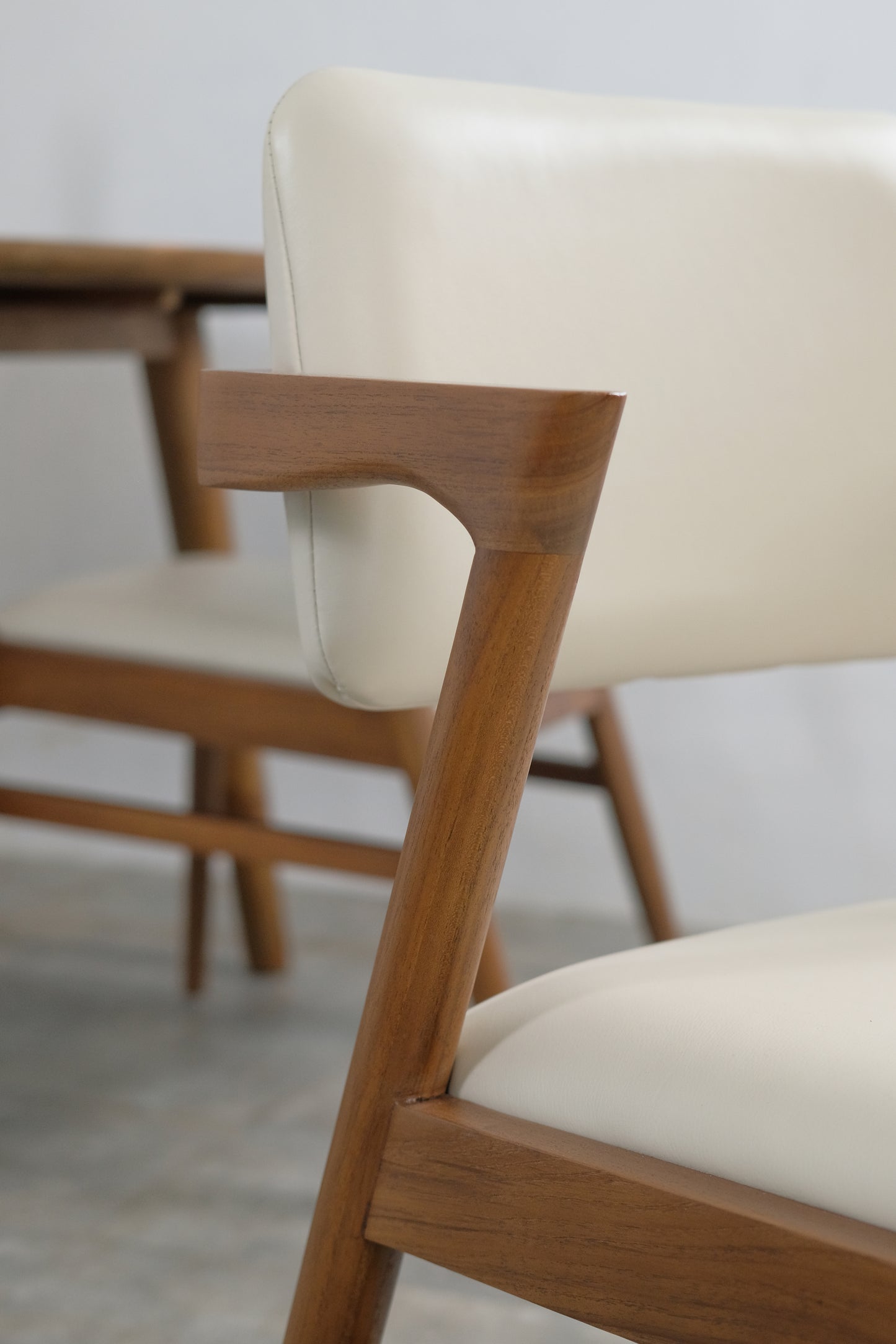 Rosa Dining Chair with cushion leather