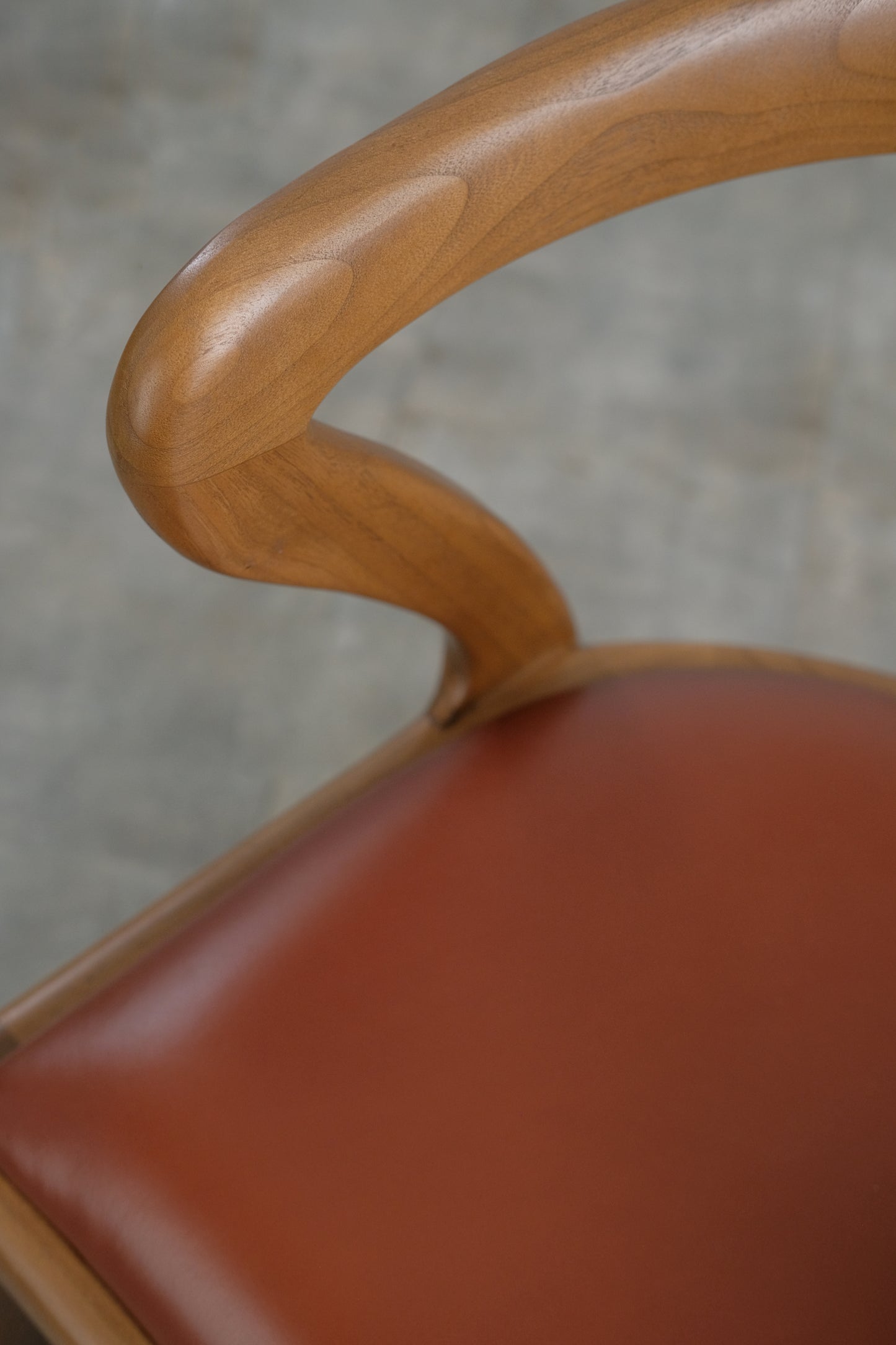 Solar Dining Chair leather